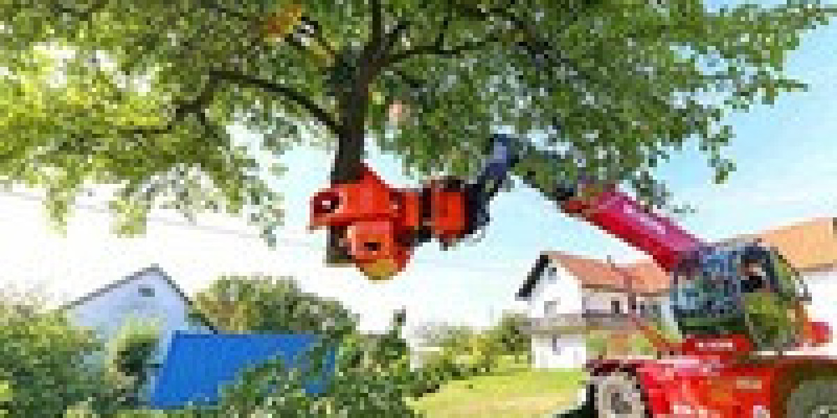 Save Money with Our Trusted Affordable Tree Service
