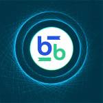 Bitbse Exchange Profile Picture