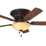 remote fans Profile Picture