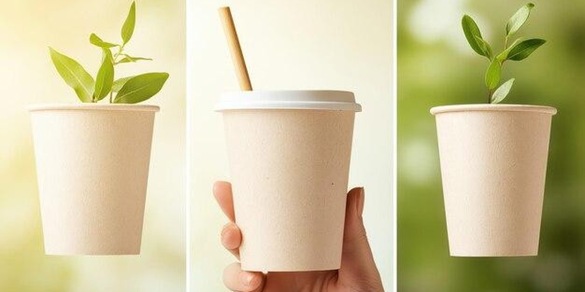 Soton Straws Drives the Paper Cup Revolution