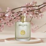 Fashion world Profile Picture