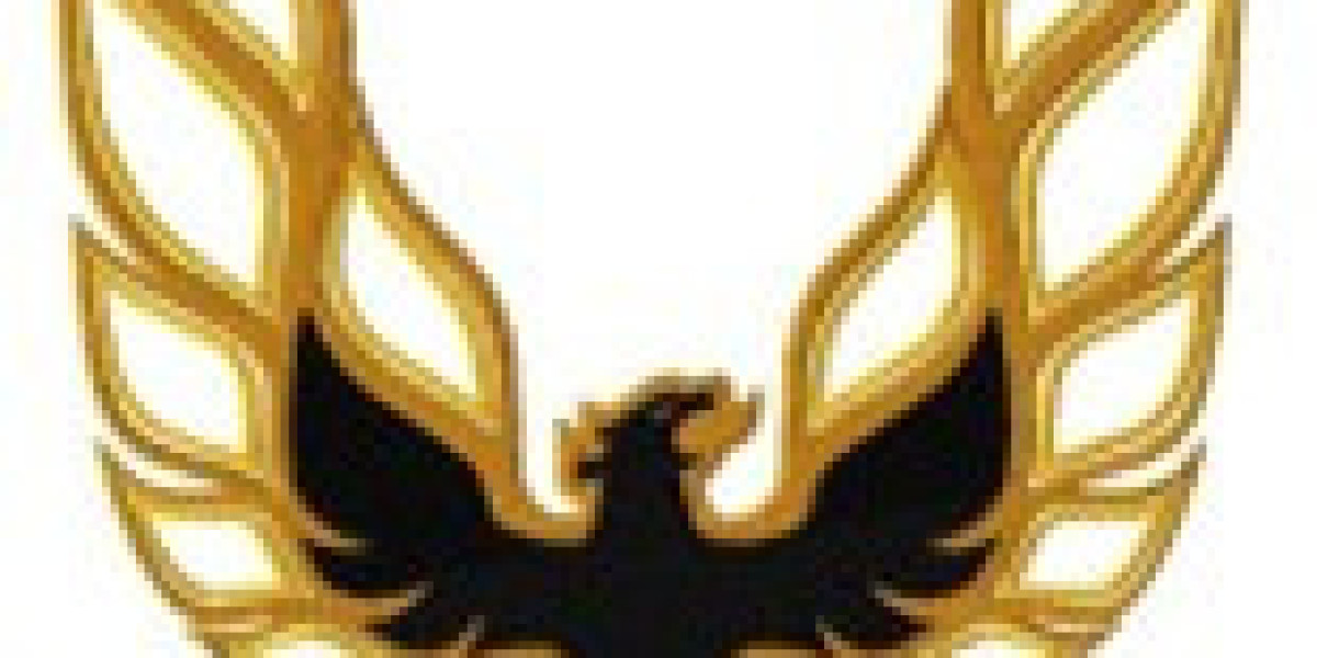 Custom Embroidery Digitizing Services Online with 24-Hour Turnaround