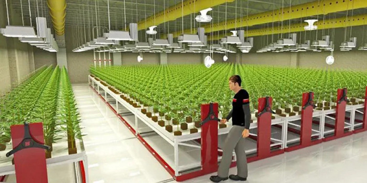 Grow Anywhere with Smart Mobile Vertical Farming