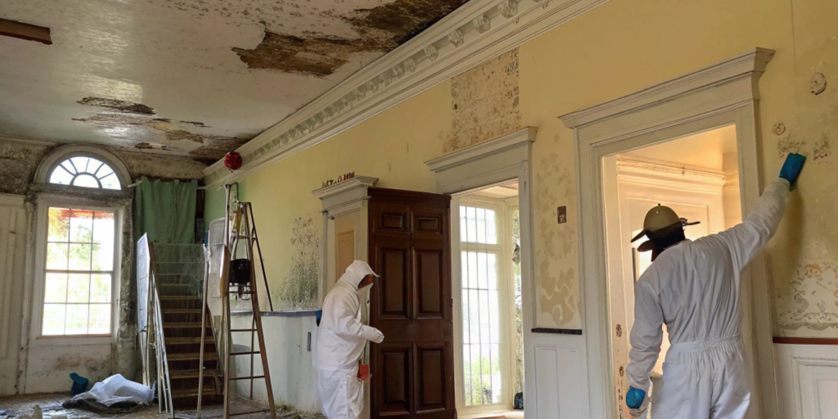 Moisture Mapping for Hidden Water Damage: The Key to Complete Restoration