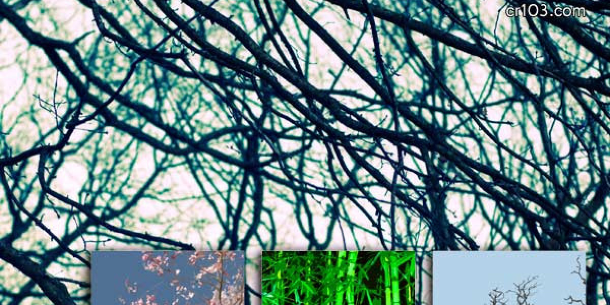 Wachstumshormonmangel (GHD)