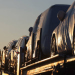 Netz bay Profile Picture