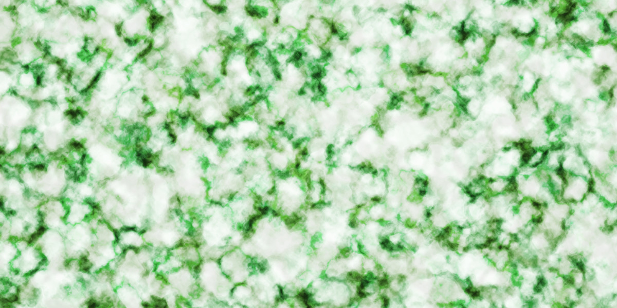 Observational Research on Private Jet Services: A Luxurious Flight Experience