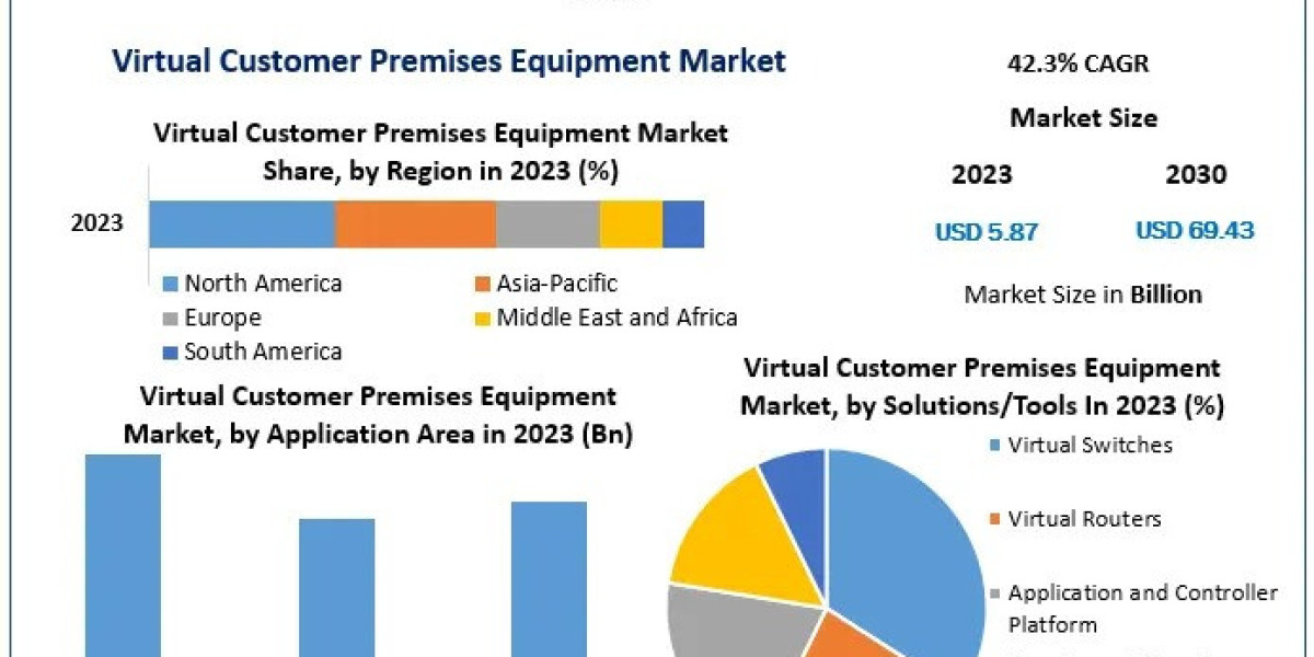 Virtual Customer Premises Equipment Market, Top Companies Overview and Market Positioning 2024-2030