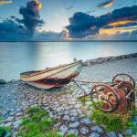 bentenisan Profile Picture