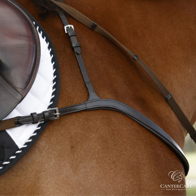 Three-poin Profile Picture