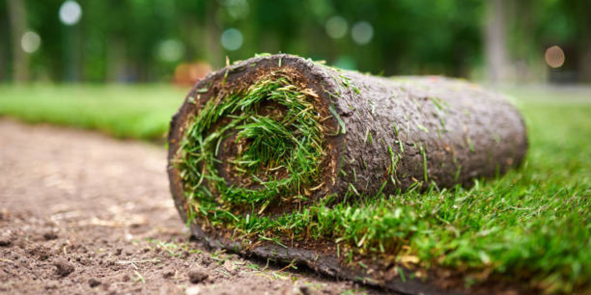 How Does Artificial Turf Help Reduce Water Bills Year-Round