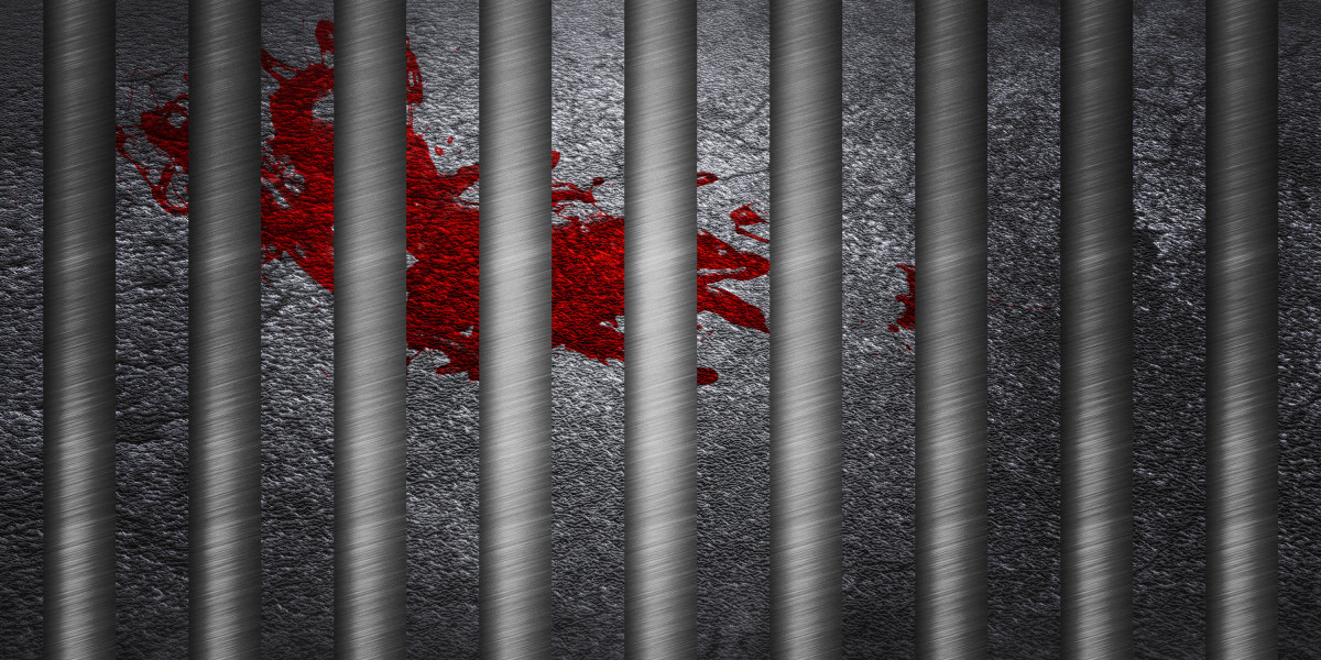 Exploring the Landscape of Silver IRA Companies: A Comprehensive Observational Study