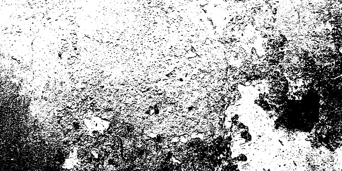 Case Study: Navigating a $2,000 Loan with No Credit Check