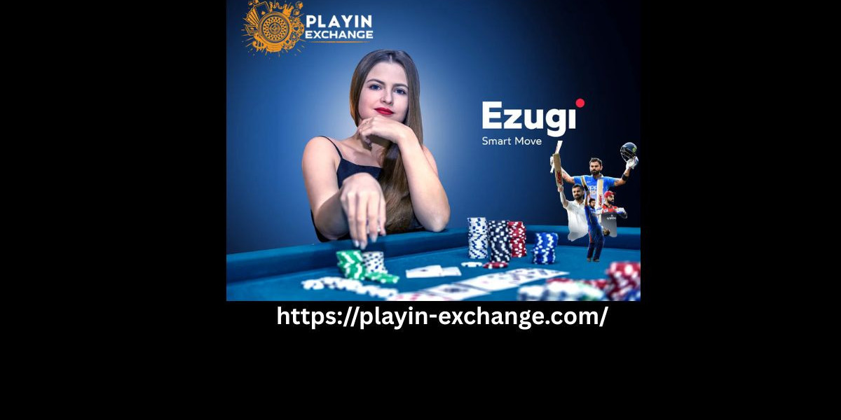 Playinexch365 Casino Games Explained for New Users