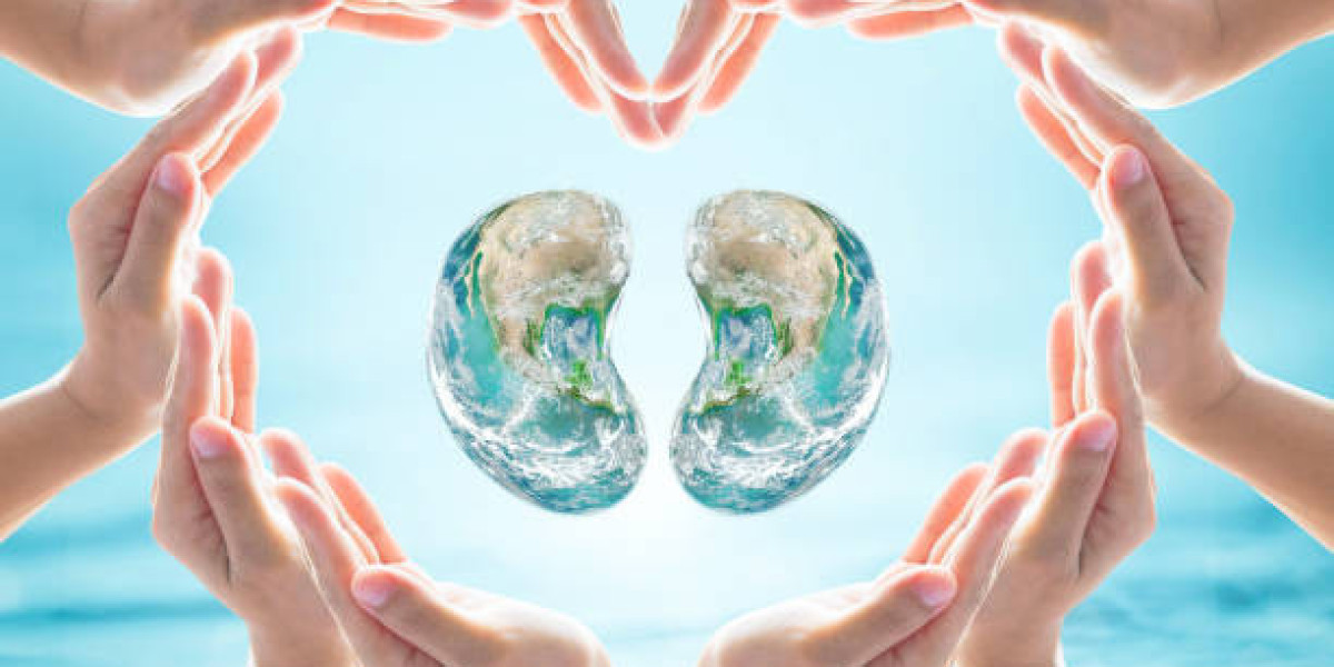 Building a Healthier Lifestyle with Kidney and Vision Support