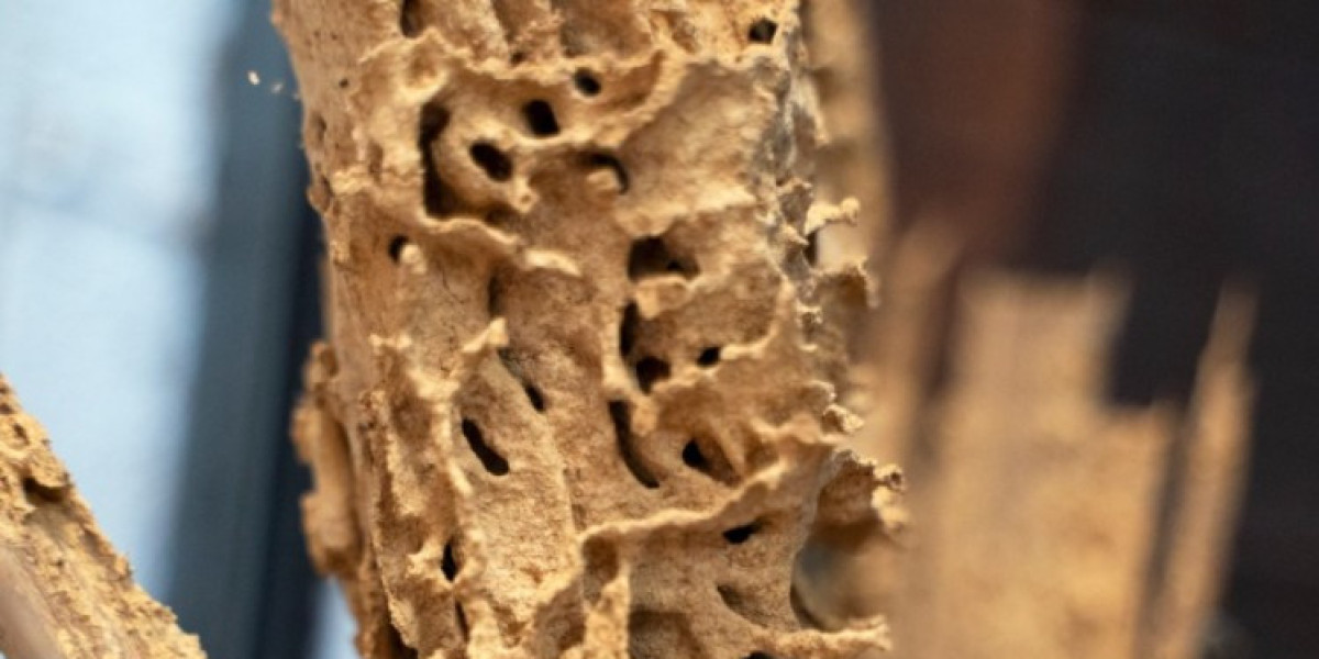 The Future of Effective Pest Control: Smart Solutions and Technology