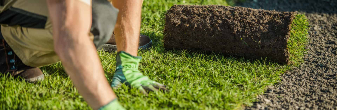Turf Installation Sydney Cover Image