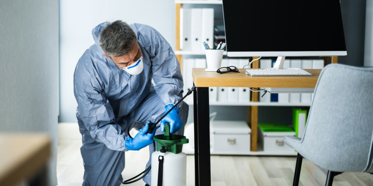 Shield Your Home Naturally: Reliable Pest Control in Bilinga