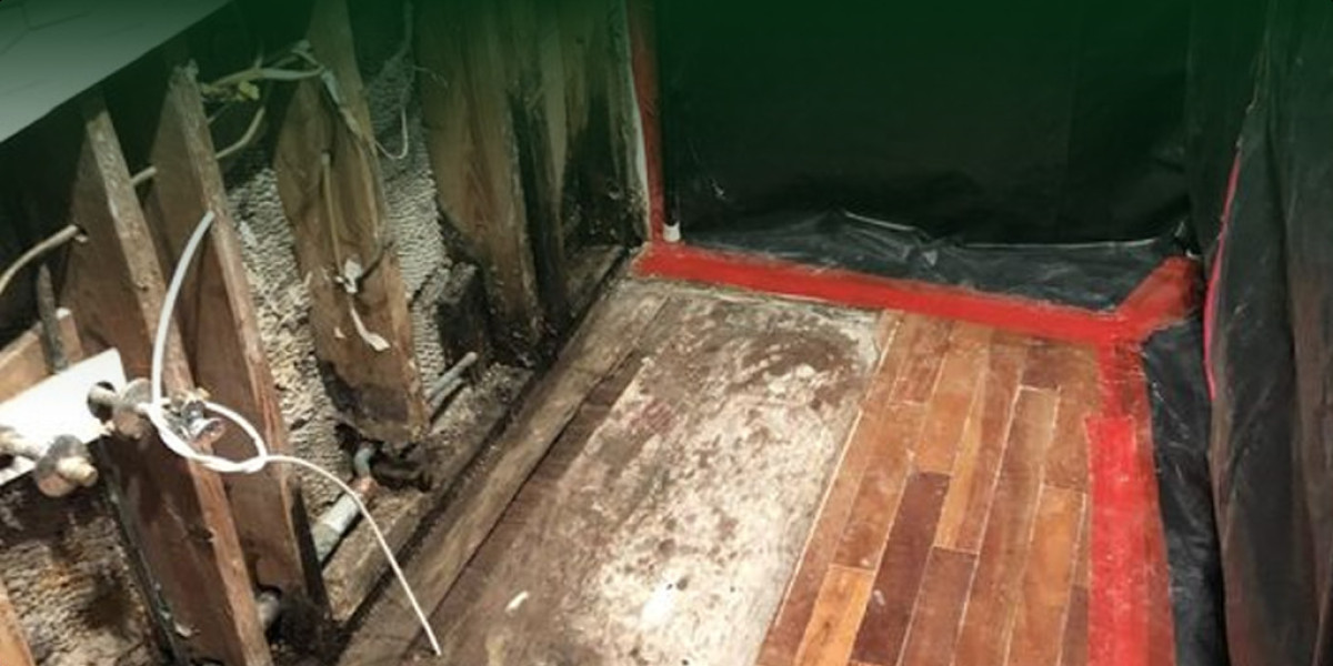 Mold Inspection Bradenton – Protect Your Home with Professional Mold Detection