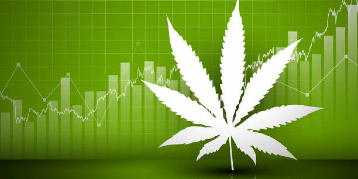 Increasing Profits with Better Hemp Extraction Equipment