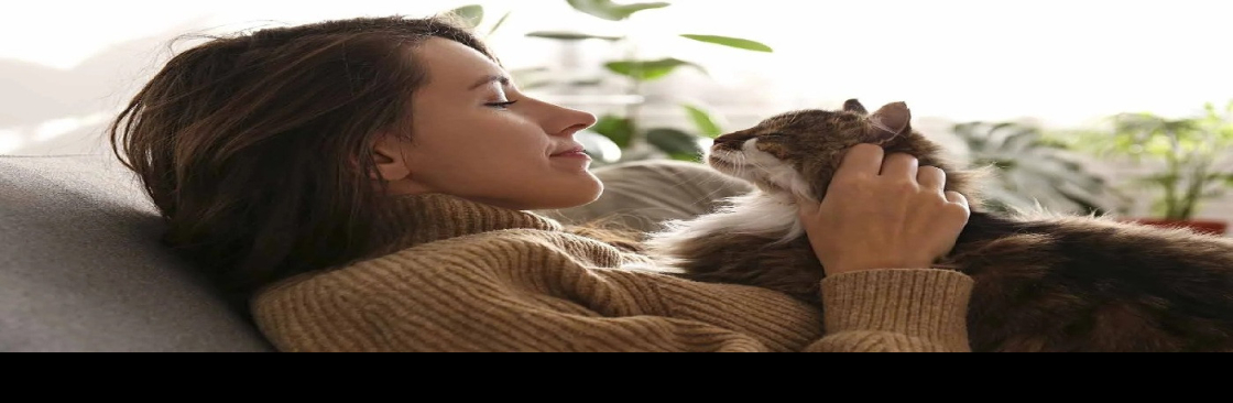 We Love Cats and Kittens Cover Image