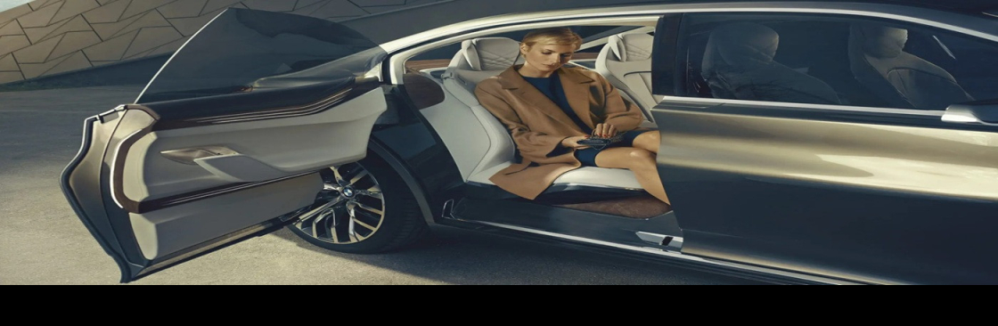 Bravo Limo Cover Image