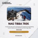 rimmy kumari Profile Picture