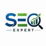 seo expert Profile Picture