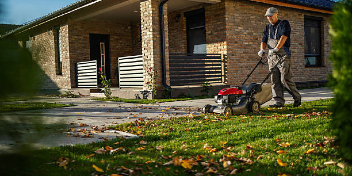Enhancing Grass Density Through Professional Lawn Care