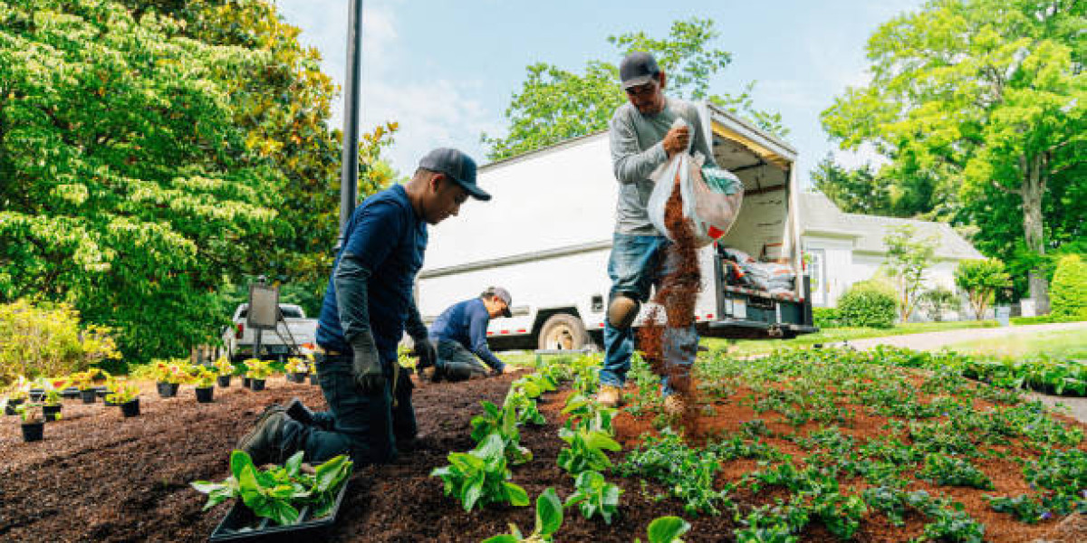 Maintaining Outdoor Beauty with Professional Landscape Care