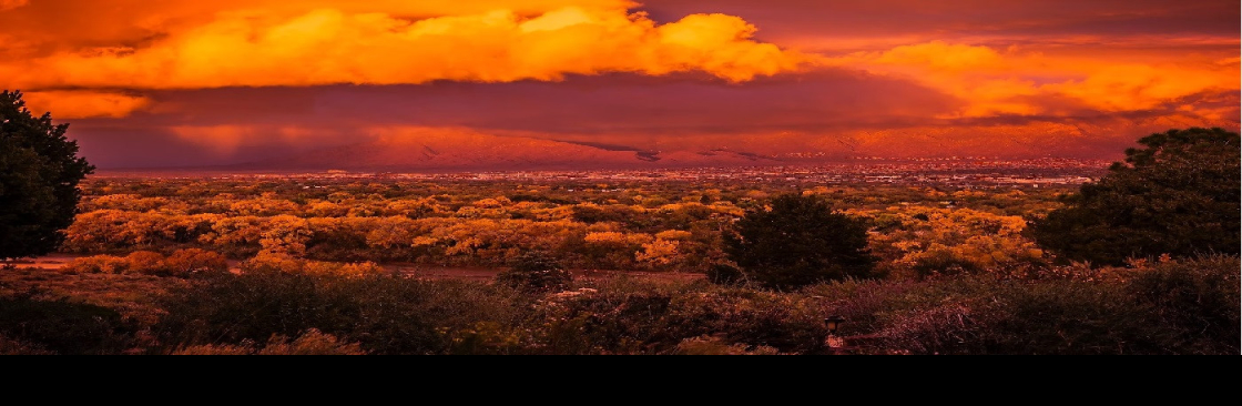 Duke City Property Investments Inc Cover Image