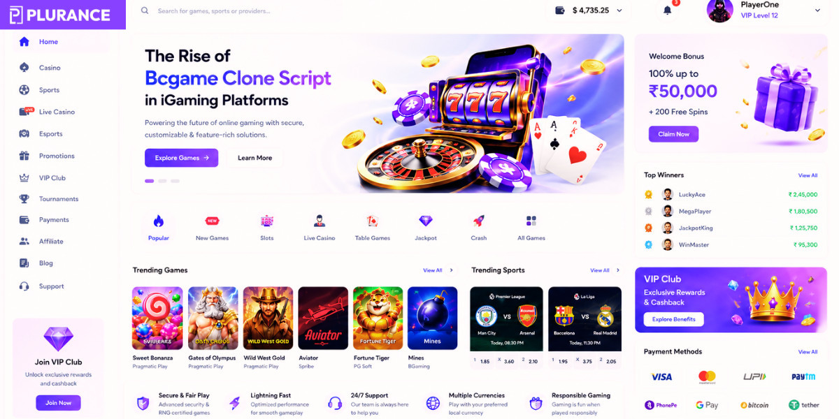 The Rise of Bcgame Clone Script in iGaming Platforms