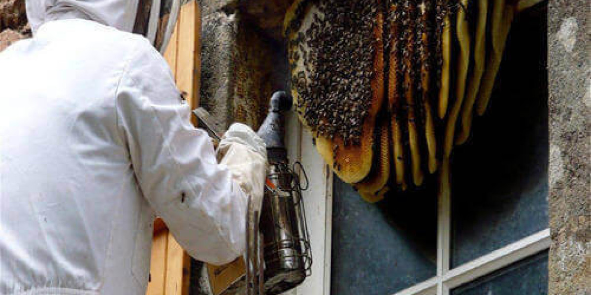 Protect Your Home With Safe Bee Removal Methods