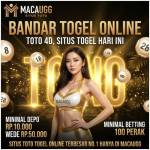 macaugg login Profile Picture