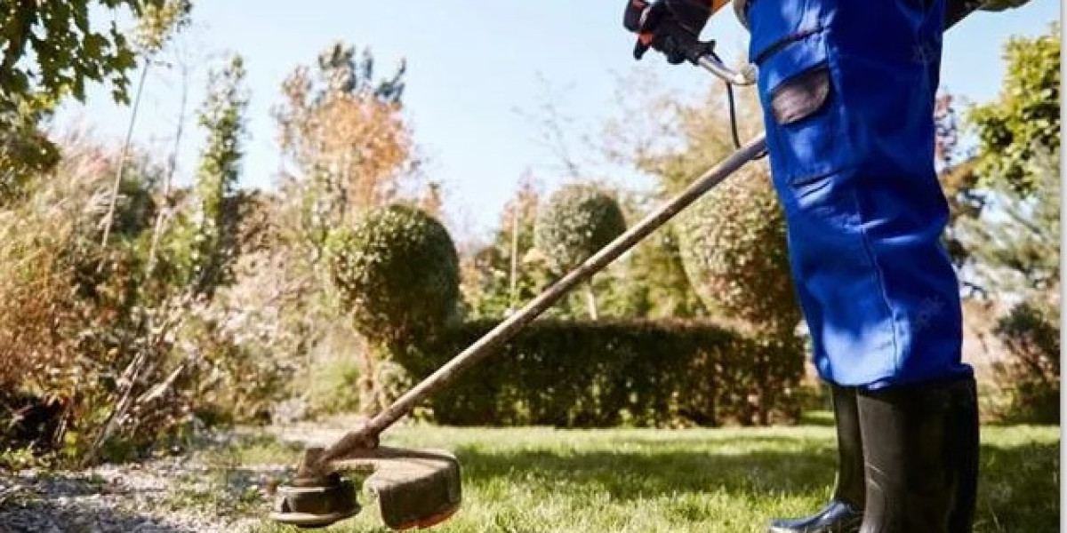 Affordable Garden Maintenance Clovelly for Beautiful Outdoor Spaces