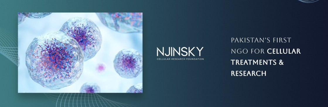 Njinsky Foundation Cover Image