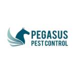 Pegasus Pest Control Profile Picture