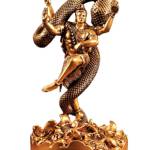 lord shiva car dashboard Profile Picture
