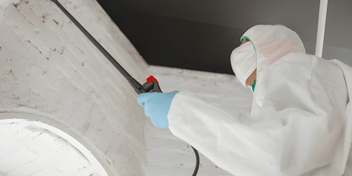 Why Professional Mold Remediation NJ Services Are Essential for Healthy Homes