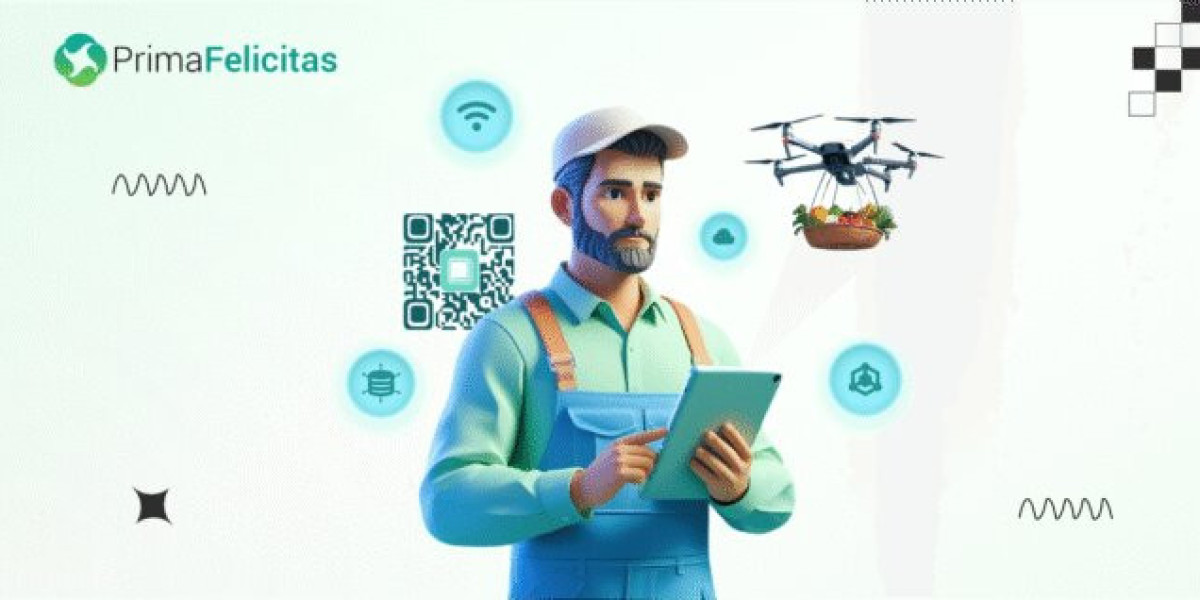 Blockchain Development Services: Everything Web3 Startups Need to Know