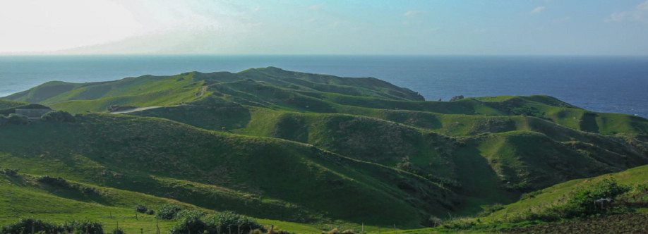 The Condition Management Company Cover Image