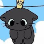 Baixiao Profile Picture