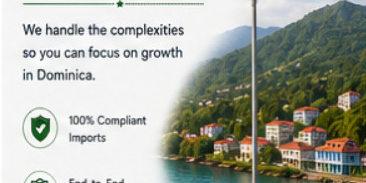Reliable Importer of Record Dominica for Global Trade