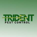 Trident Pest Control Profile Picture