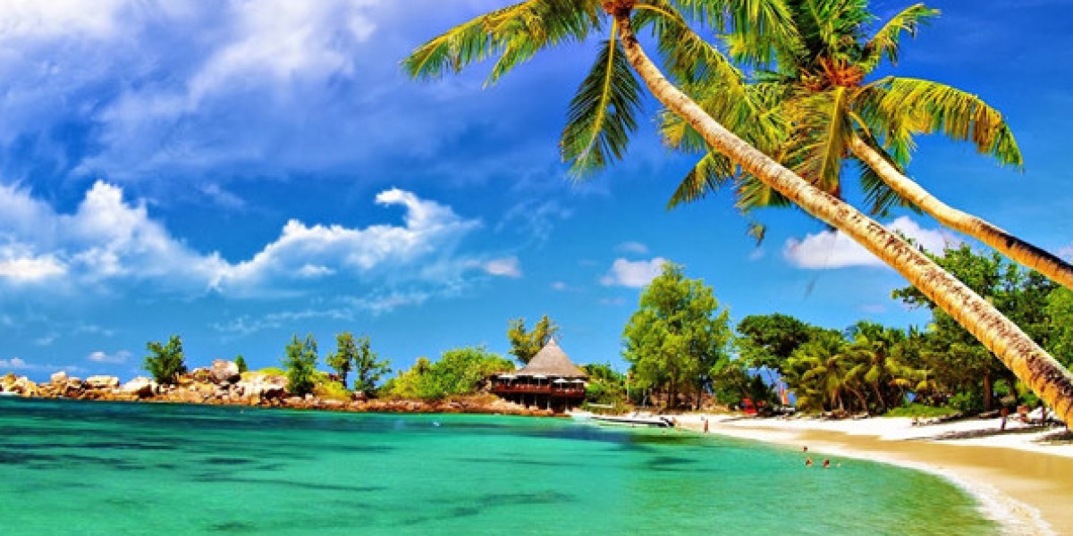 Andaman Tour Package: A Complete Guide to Exploring the Andaman Islands
