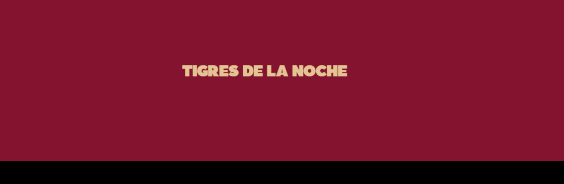 TIGRES DE LA NOCHE Cover Image