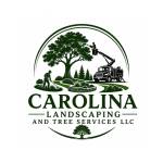 Carolina Landscaping and Tree Services LLC Profile Picture